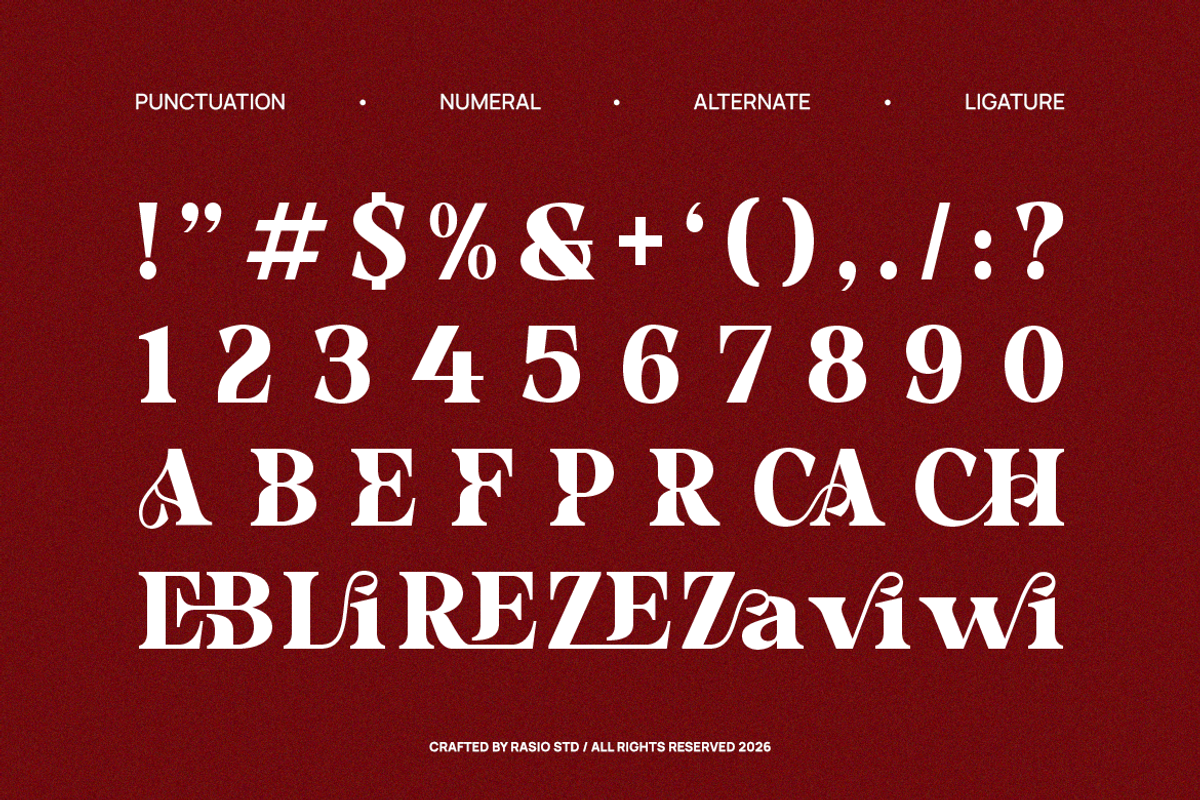 Lecaria Editorial Modern Serif Font, a Serif Font by Rasio Studio (Photo 3 of 9)
