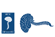 Stylized Spine and Brain Graphic, a Healthcare Illustration by CarWrap design (Thumbnail 1 of 4)