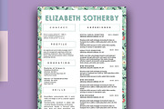 3 Beautiful Resume Designs Bundle, a Resume Template by Stand Out Shop (Thumbnail 2 of 5)