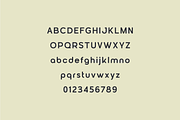 iBrand - Logo Font, a Sans Serif Font by LoneArmy (Thumbnail 7 of 9)
