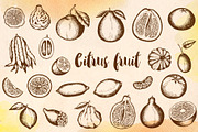 Vintage Citrus Fruits Design Kit, a Food Illustration by Artspace (Thumbnail 1 of 3)