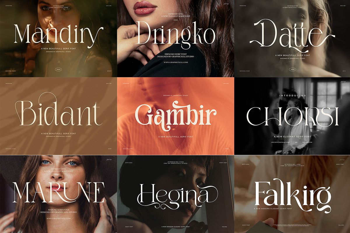 100+ Premium Serif Font Bundle, a Serif Font by Graphicxell (Photo 9 of 12)