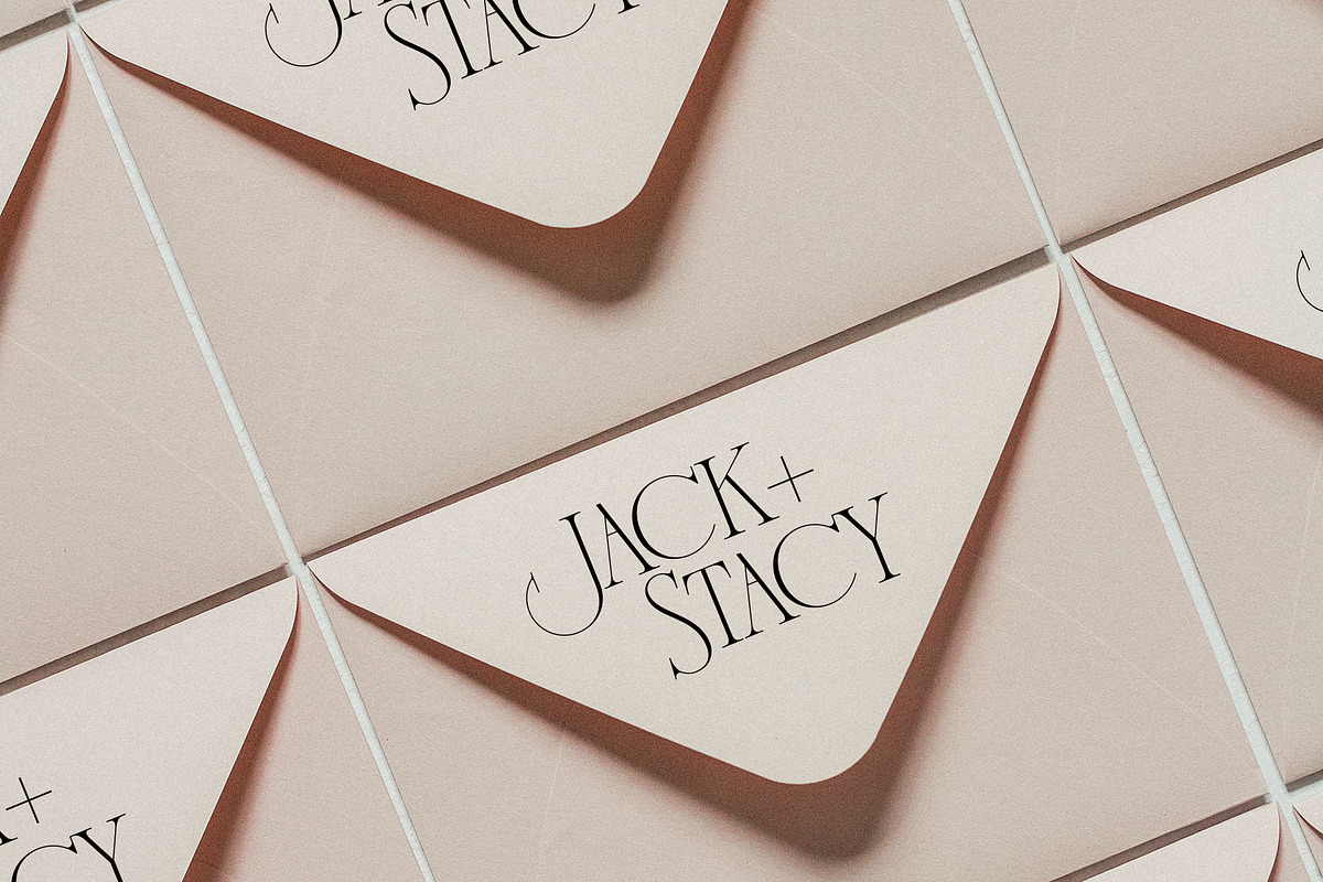 French Voyager - Chic Ligature Serif, a Serif Font by SilverStag Type Foundry (Photo 11 of 23)