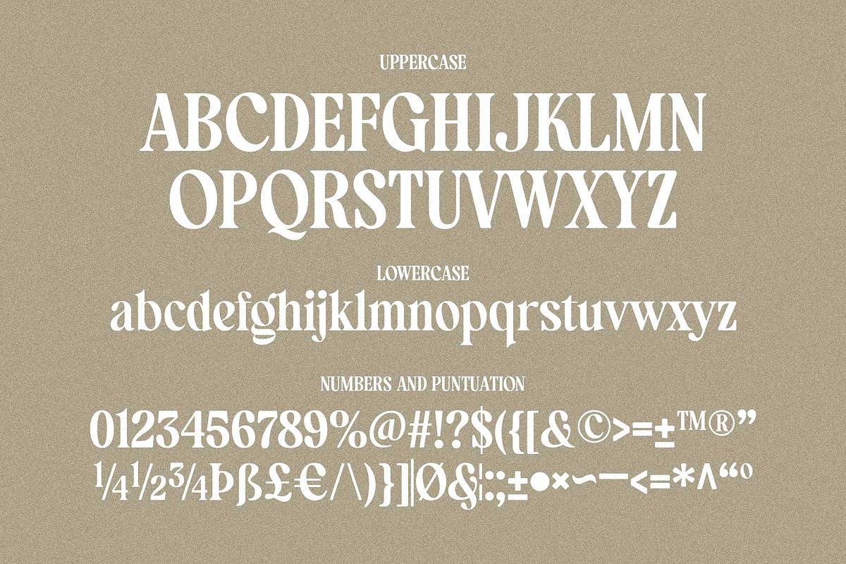 Manshera Romika - Modern Vintage, a Serif Font by Arterfak Project (Photo 13 of 15)