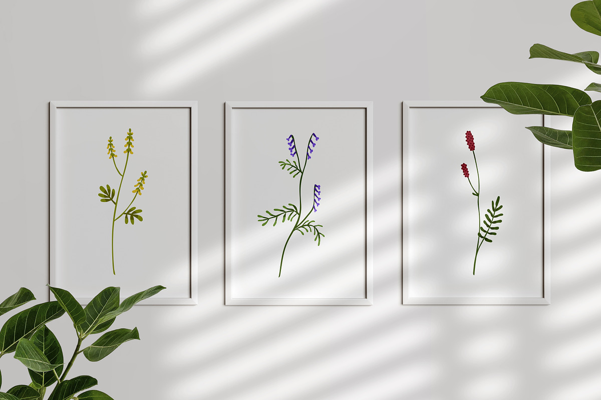 Field and meadow wild flowers set, a Decorative Illustration by Good Studio (Photo 4 of 4)