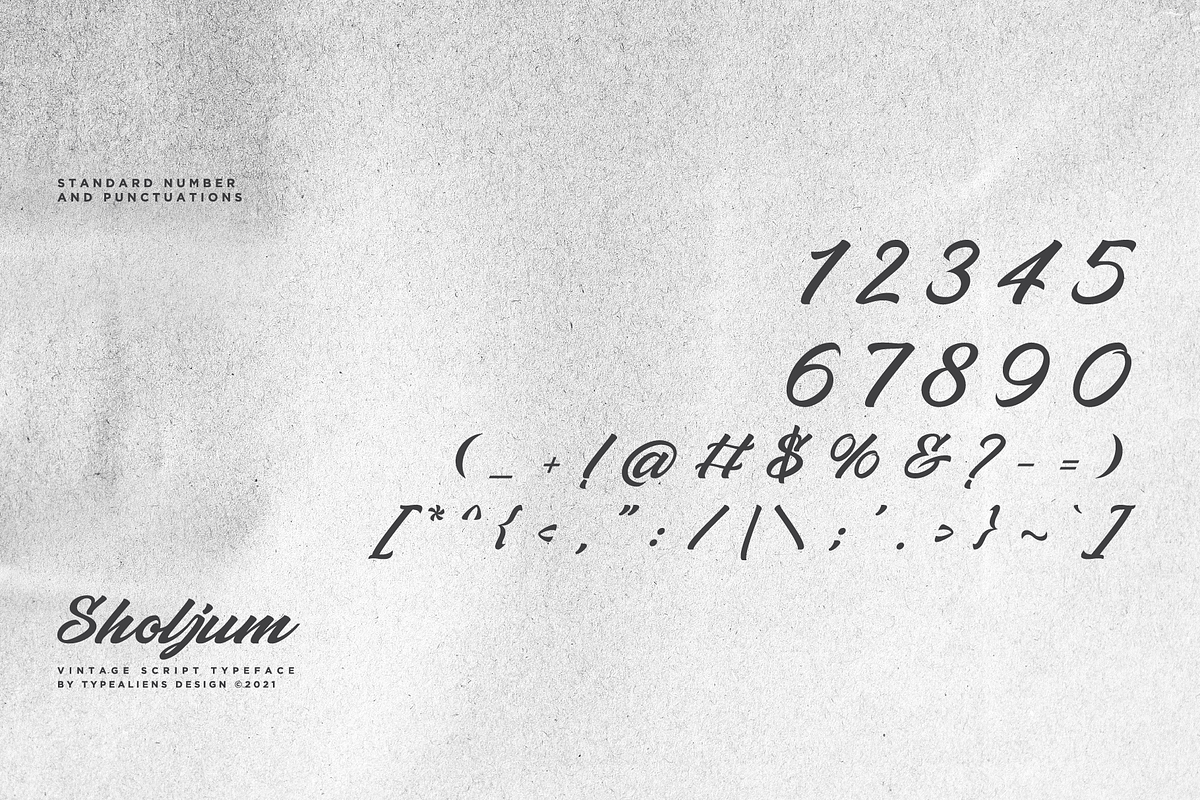 Sholjum, a Script Font by ilhamtaro (Photo 9 of 11)