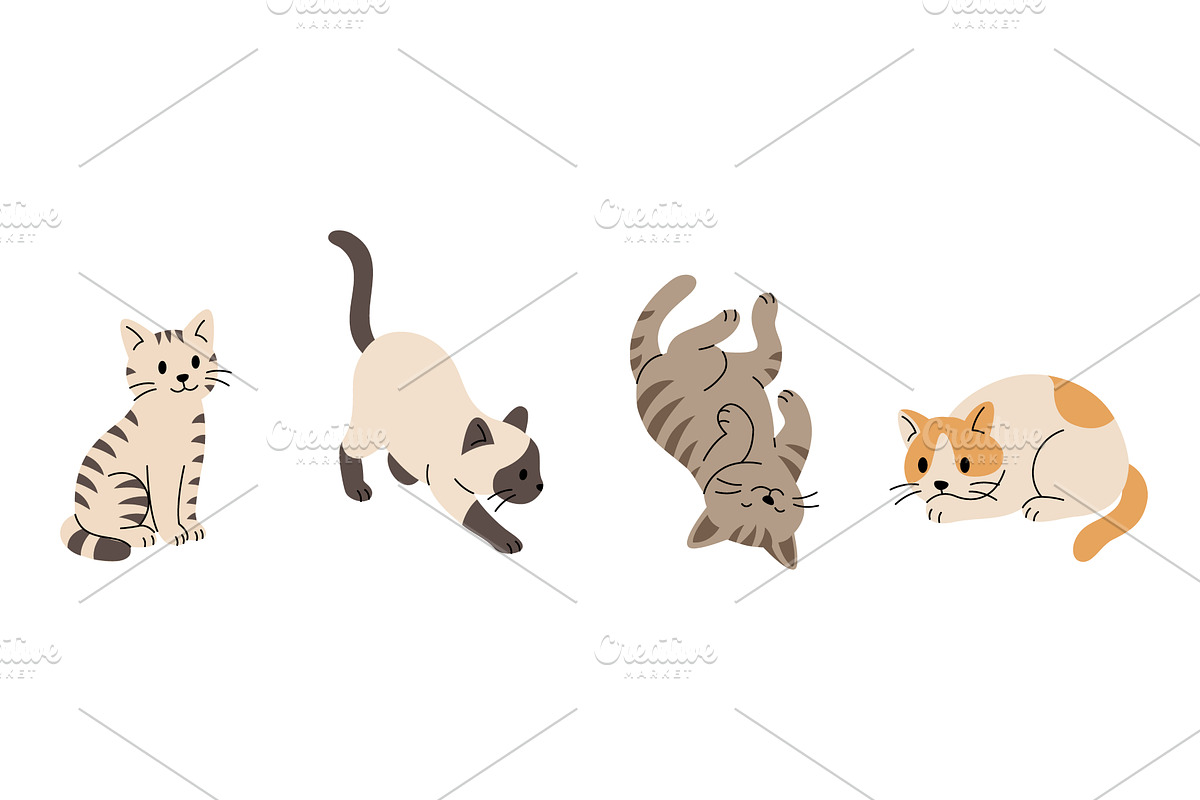 Set of four cartoon cats. Flat, an Animal Illustration by GraphiShop