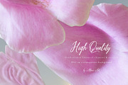 Petals Botanical Overlay Kit & Paper, an Object Graphic by Allure Art (Thumbnail 3 of 22)