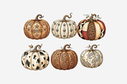 Rustic Western Pumpkin Clipart, a Seasonal Illustration by Tanya Kart (Thumbnail 9 of 10)