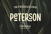 Peterson, a Sans Serif Font by Larin Type Co. (Thumbnail 1 of 11)