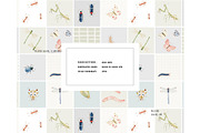 Creepy crawly bugs insects pattern, a Pattern Graphic by Milatoo (Thumbnail 2 of 3)