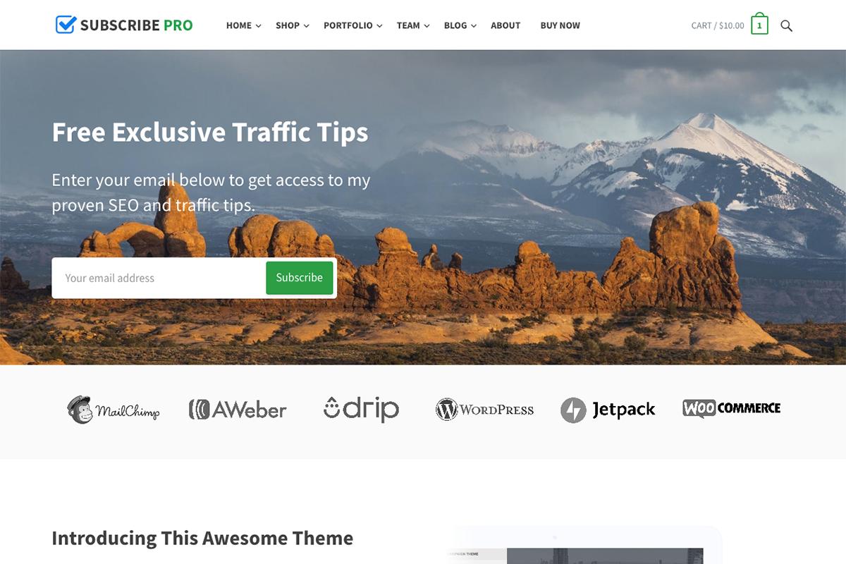 Subscribe Pro - Multi-Purpose Theme, a WordPress Template by Happy Themes Shop