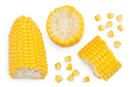 ear of corn isolated on a white, a Food & Drink Photo by NataPhoto