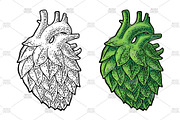 Hop cone heart engraving, a Food Illustration by MoreVector (Thumbnail 3 of 3)