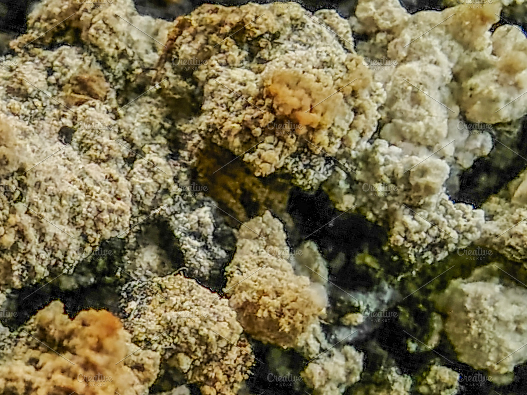 Dry soil and rock texture close-up, an Abstract Photo by DanFLCreativo