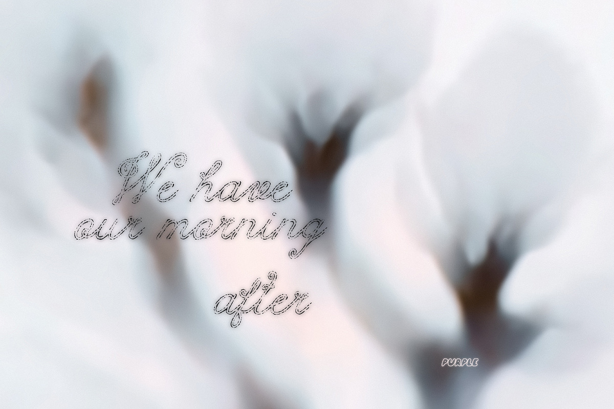 The Morning After: 70 Backgrounds, a Background Graphic by Purple (Photo 11 of 11)