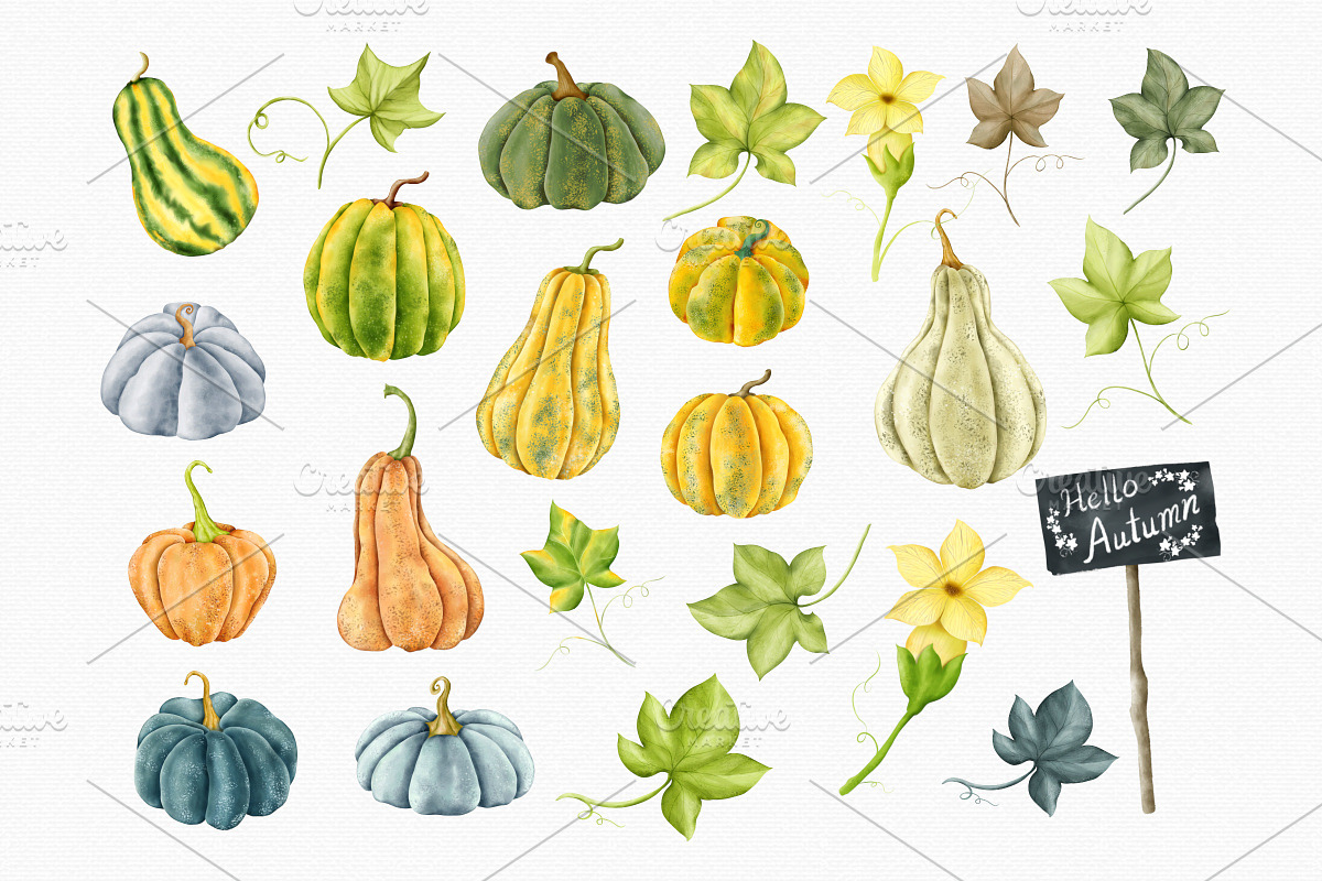 Watercolor Fall Pumpkin & Gourd Set, an Illustration by MiracleArtAndDesign (Photo 2 of 3)