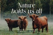 Nord Theory Classic Serif Font, a Serif Font by Heinzel Std (Thumbnail 13 of 13)