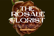 Ronder || Modern Stylish Sans Serif, a Sans Serif Font by Ermedia Studio (Thumbnail 9 of 10)