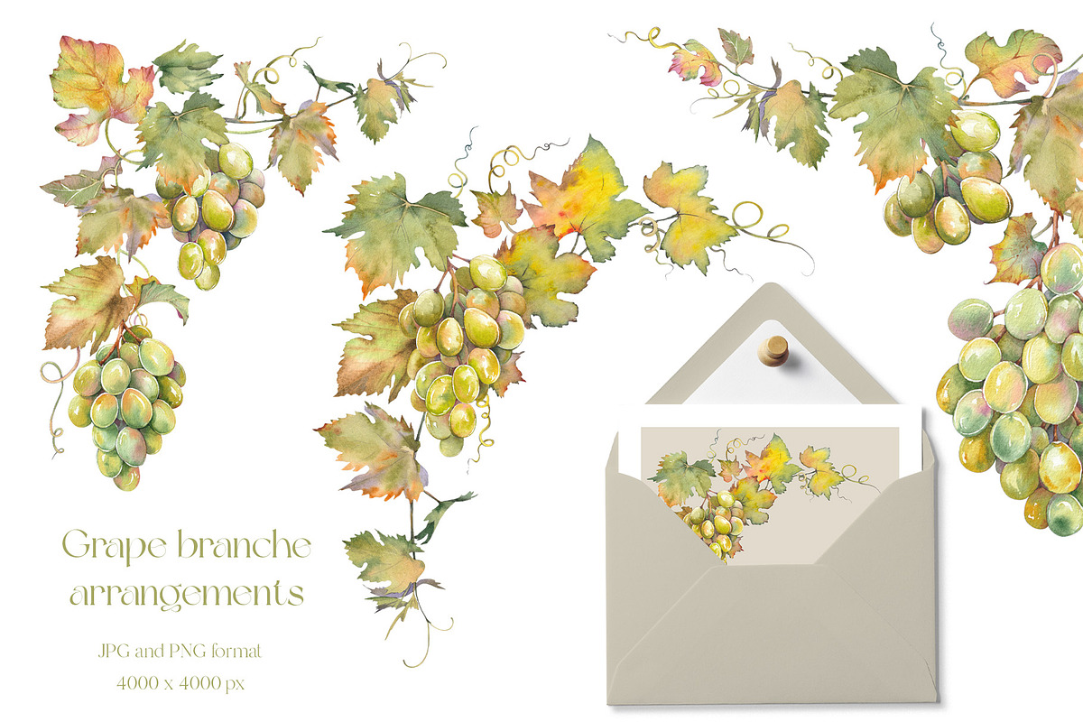 Watercolor Grapes Clipart Set, a Food Illustration by Jeanna Draw (Photo 6 of 12)