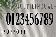 Margrite - Tall Serif Font Family, a Font by AndrewPixelType (Thumbnail 8 of 9)