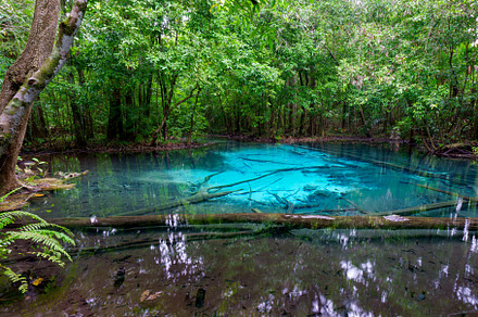 Emerald Pool at Krabi Province, Thailand. Amazing nature crystal, a Nature Photo by Casanowe-studio