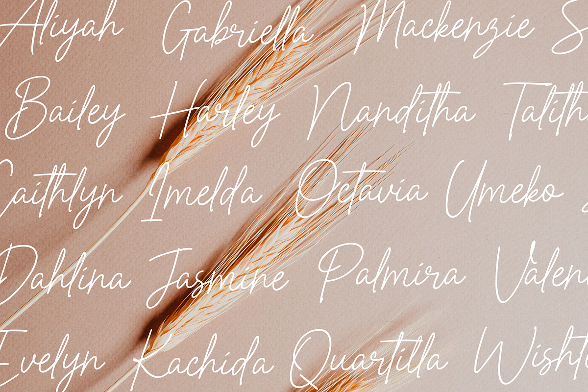 Perfect Beloved - Monoline Font, a Script Font by Creavibes Design (Photo 2 of 12)