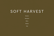 Vexa Modern Sans Serif Font, a Sans Serif Font by Only Fonts (Thumbnail 8 of 12)