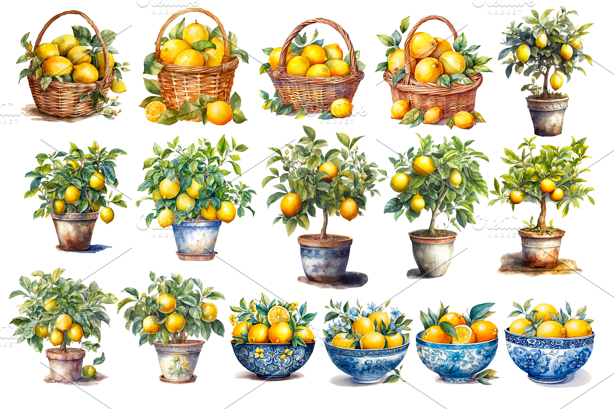 Watercolour lemon bundle, a Food Illustration by AkvarelRiver (Photo 7 of 10)