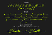 Nedalin | Signature Font, a Script Font by Lemonthe (Thumbnail 8 of 9)