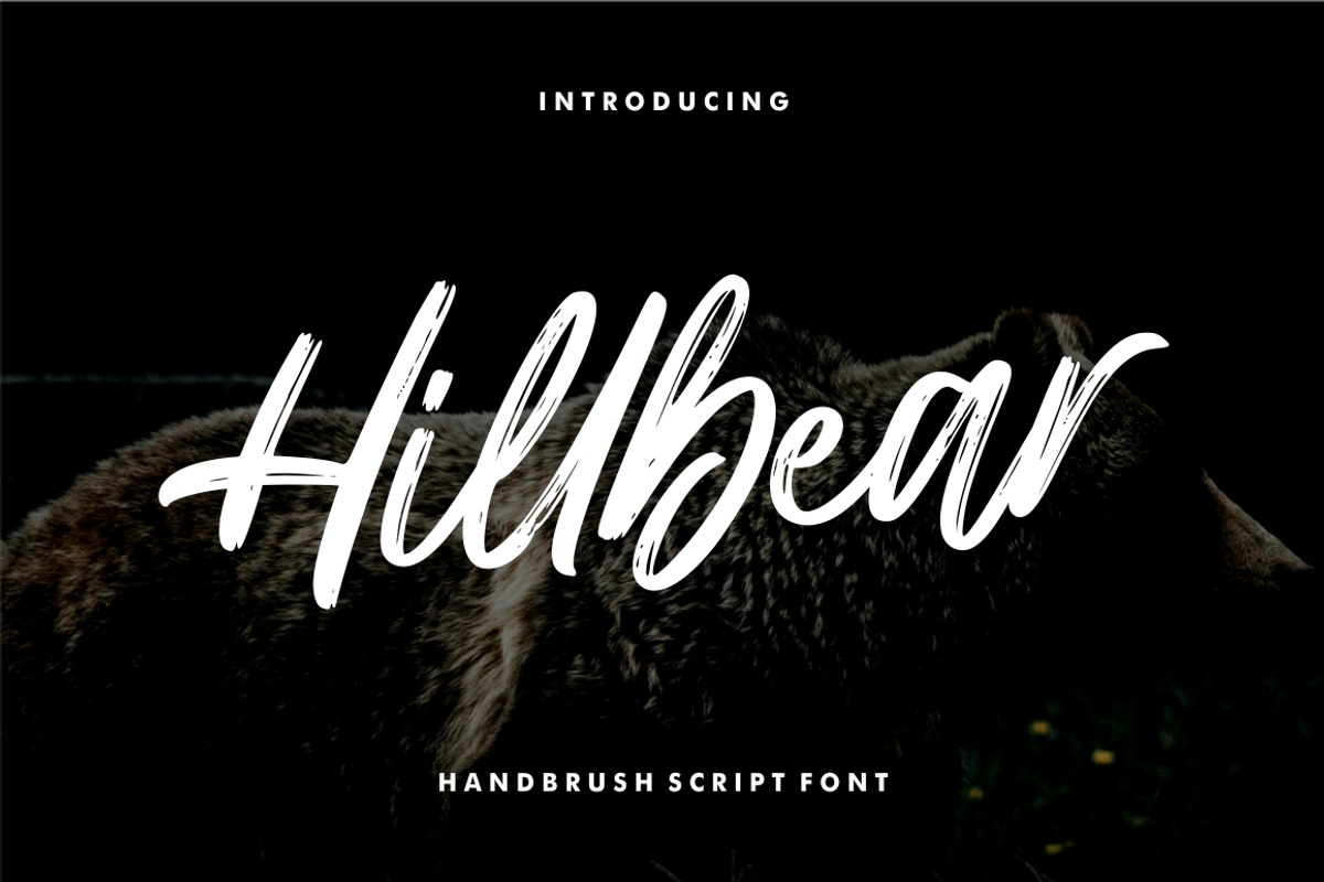 Hillbear - Handbrush Script Font, a Script Font by StringLabs (Photo 1 of 7)