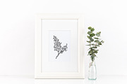 Spice Plants Collection, an Illustration by Evgeniia Lanskikh (Thumbnail 11 of 11)