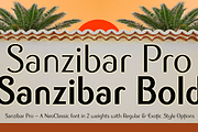 Sanzibar Pro, a Sans Serif Font by ArtyType (Thumbnail 5 of 7)