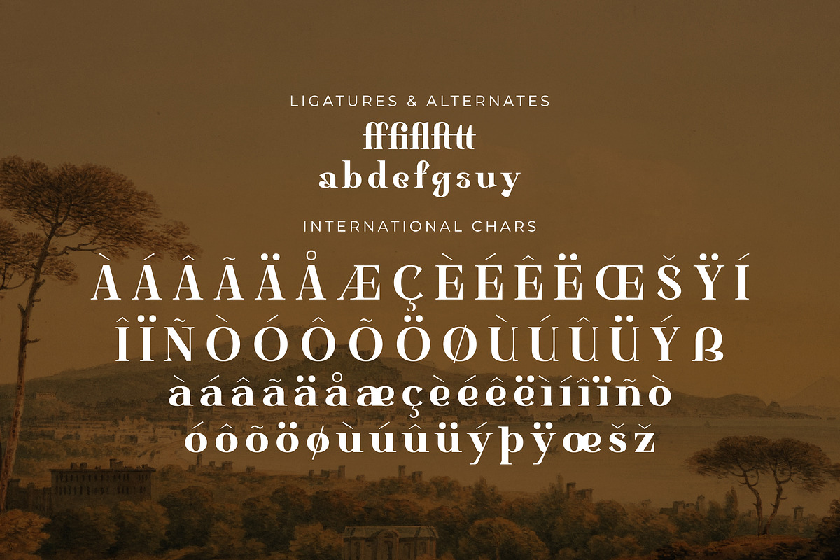 Basfegu A New Display Serif Font, a Serif Font by Storytype Studio (Photo 14 of 15)