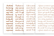 Nadlines - Script Family, a Script Font by Novitype (Thumbnail 8 of 13)
