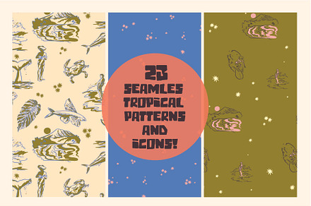 Tropical Patterns & Illustrations