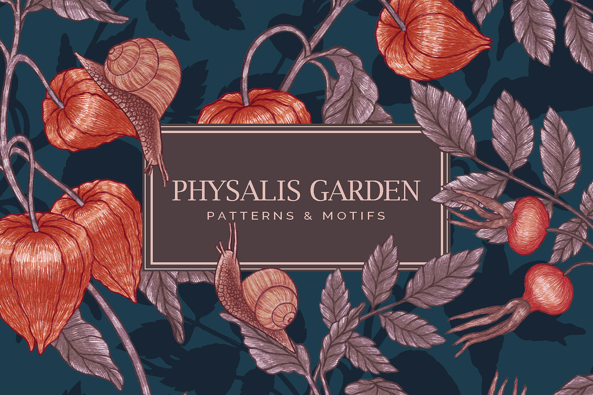 PHYSALIS GARDEN — Botanical Patterns, a Decorative Illustration by Liiafis (Photo 1 of 17)