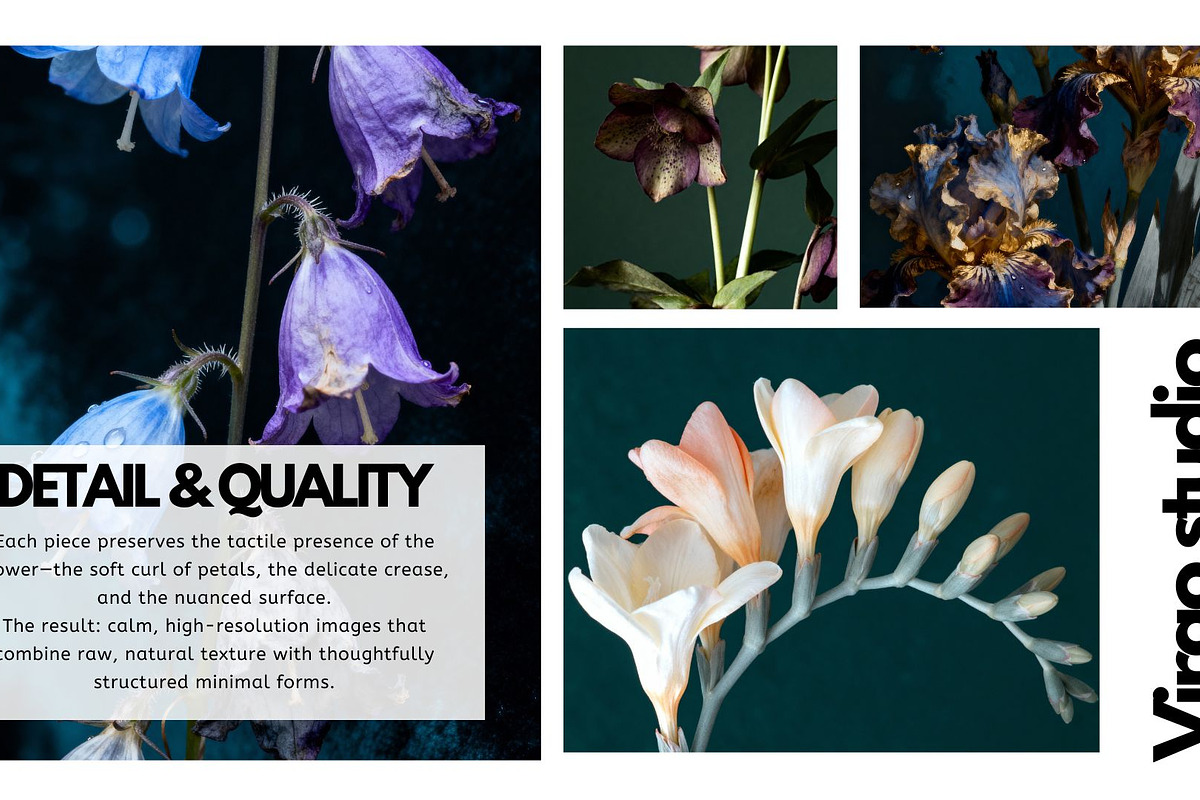Botanical Fine Art Macro Collection, a Nature Photo by Virgo Studio (Photo 4 of 6)