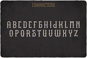 Vintage Fonts Bundle, a Font by VozzyStock (Thumbnail 21 of 29)