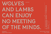 Homeric - Serif font Family, a Serif Font by Artistic & Unique (Thumbnail 10 of 13)