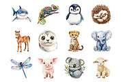 Watercolor Animals Cute Baby Animal, an Illustration by SinaCreation (Thumbnail 2 of 7)