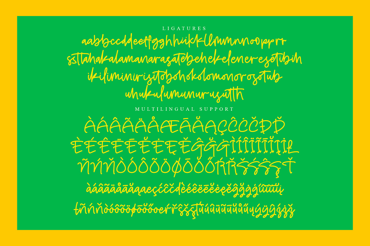 Joybright, a Script Font by operatype.co (Photo 13 of 14)