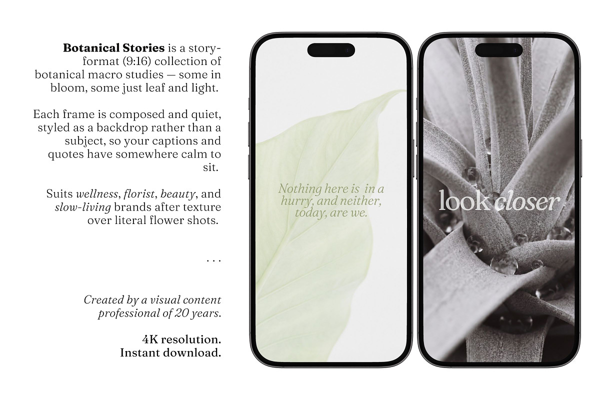 Botanical Stories Stock Pack, a Background Photo by Iconogenic (Photo 4 of 4)
