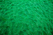 Multicolored sand on the seashore, a Background Photo by Schreibikus (Thumbnail 1 of 4)