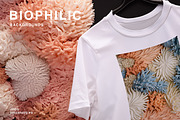 80 Biophilic backgrounds, a Background Graphic by Polli Deeva (Thumbnail 15 of 16)