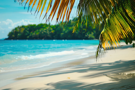 A tropical beach with palm trees, a Nature Photo by Virgo Studio