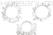 Herbarium. Pencil sketches, a Decorative Illustration by Love Watercolor Store (Thumbnail 5 of 8)
