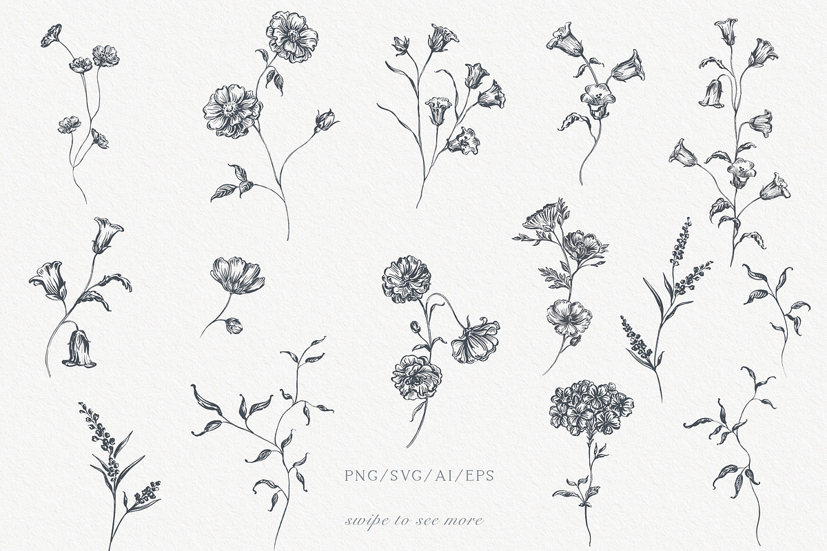 Line Art Flowers vector collection, a Decorative Illustration by Sensual Art (Photo 2 of 10)