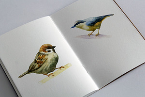 Watercolor Forest Animals And Birds