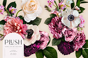 Plush Floral Clip Art, an Object Graphic by Eclectic Anthology (Thumbnail 4 of 19)